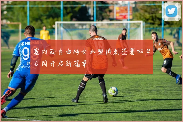 塞内西自由转会加盟热刺签署四年合同开启新篇章